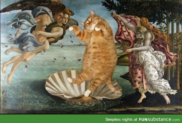 Googled "Classic cats" on accident.  Was not disappointed.