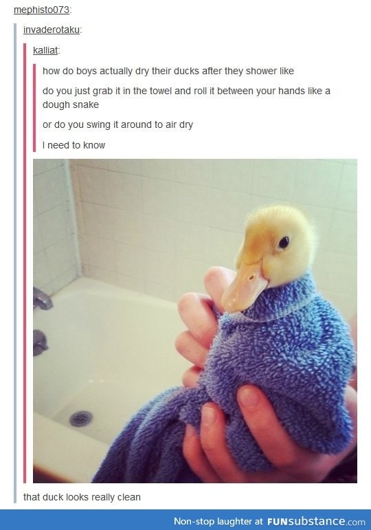 Cleaning ducks