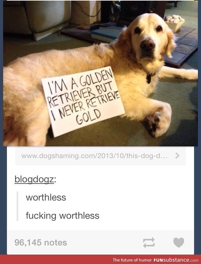 Useless dog