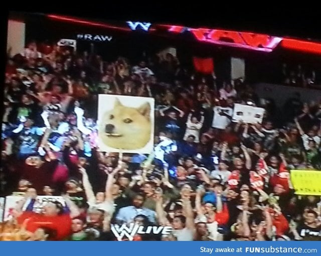 saw a familiar face in th crowd while watching wrestling