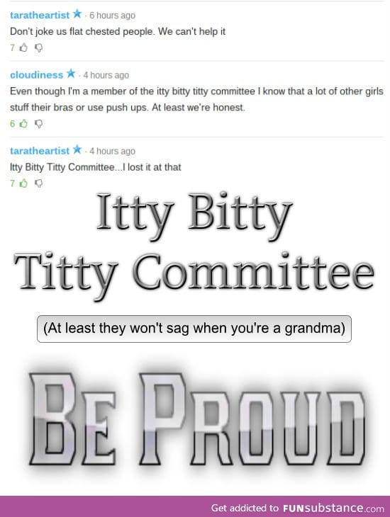 Ladies and gentleman, the Itty Bitty t*tty Committee.