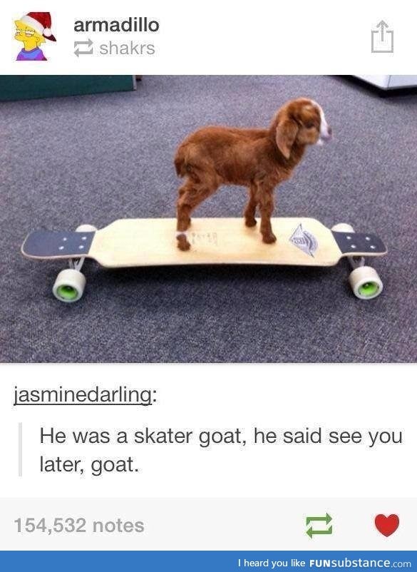 He wasn't goat enough for her