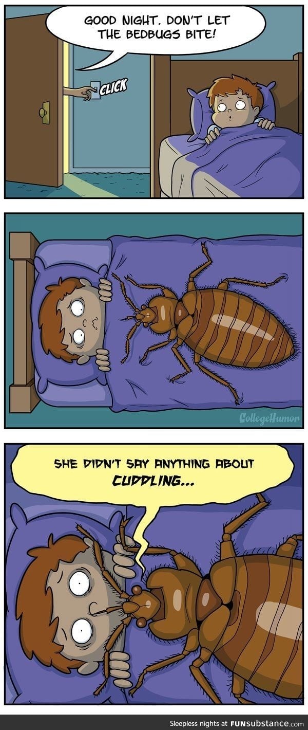Bedbug cuddles