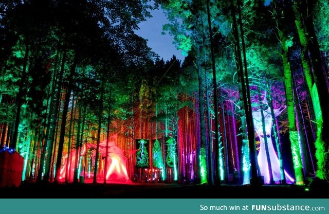 Electric forest music festival, rothbury, michigan
