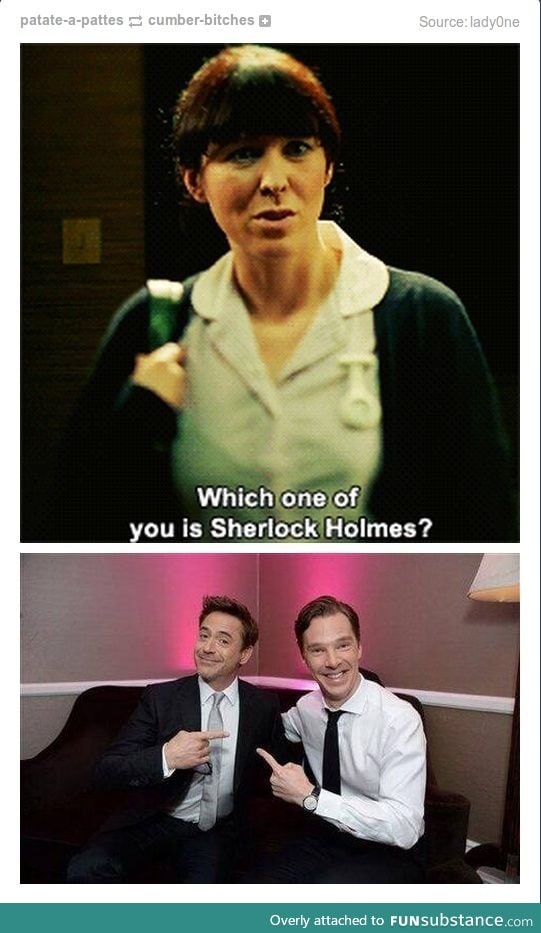 Which One Is Your Sherlock Holmes?