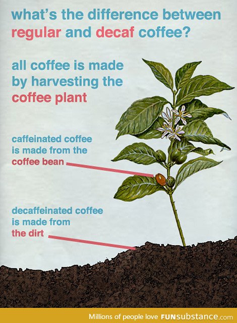Where decaffeinated coffee comes from