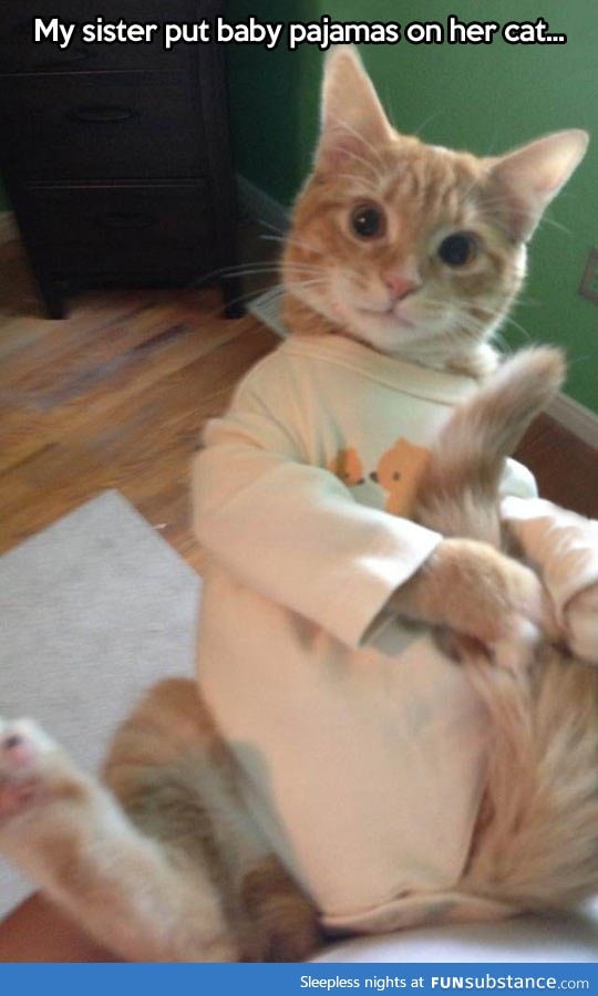 Cat in pajamas