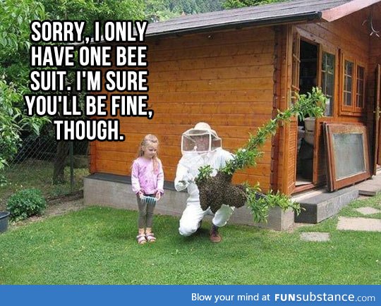 I only have one bee suit