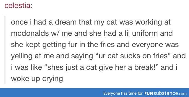 McDonald's cat