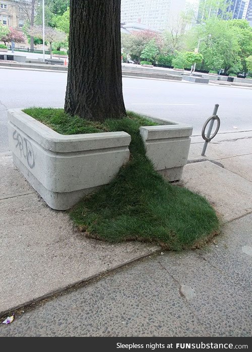 Leaking grass