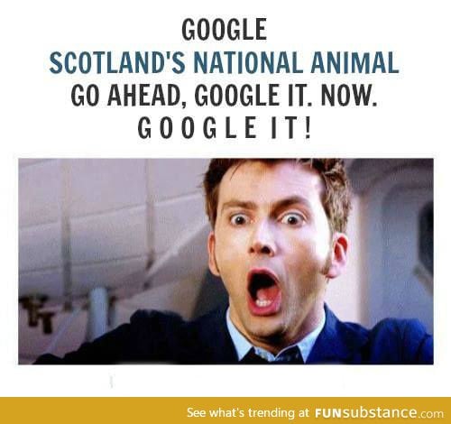 Scotland's National Animal...