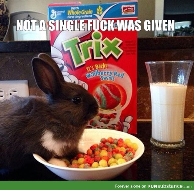 Silly Rabbit