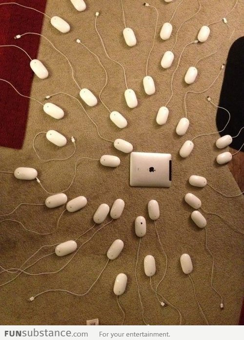 How an iMac is born