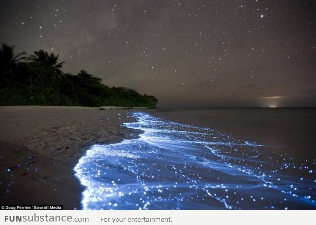 Glowing sea in Maldives caused by bioluminescence