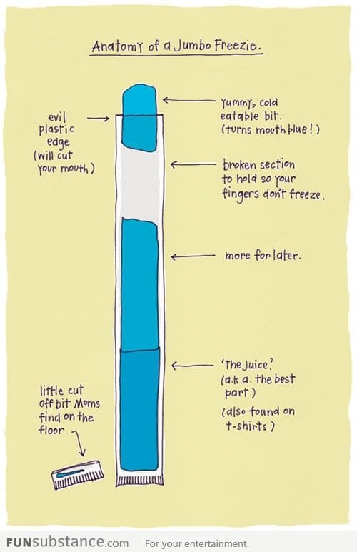 Anatomy of a Jumbo Freezie