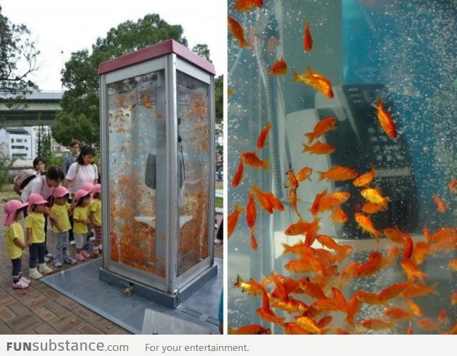 Goldfish phonebooth