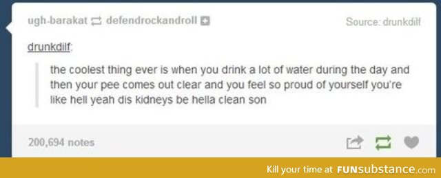 hella clean kidneys