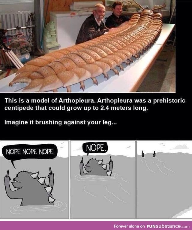 2.4 meter long centipede