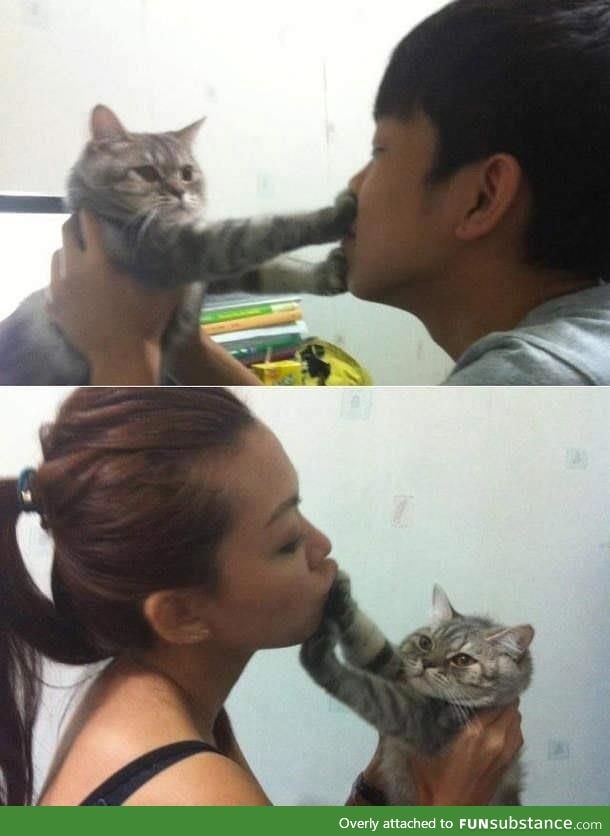Stop your kisses human