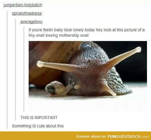 Mothership snail