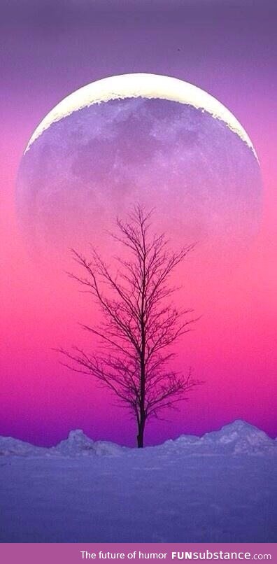 Winter moonrise