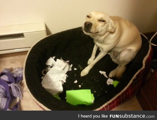 Go on, tell them I ate your homework. They’ll never believe you.