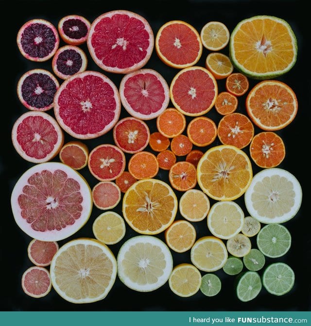 Different shades of citrus