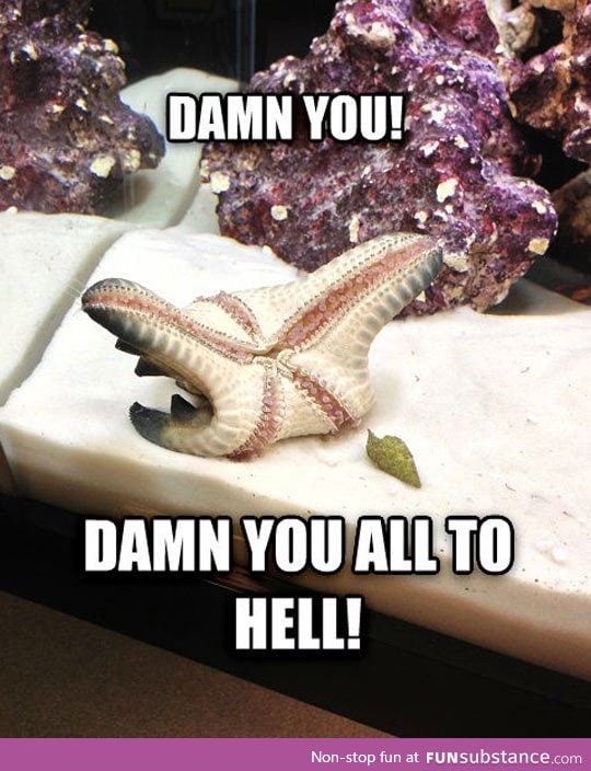 Melodramatic starfish