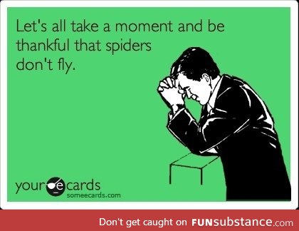 If spiders could fly I don't know what I would do