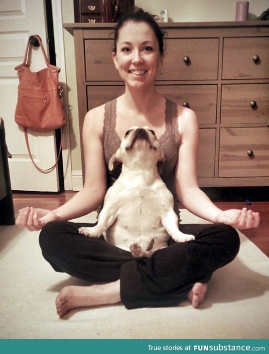 This dog loves his yoga