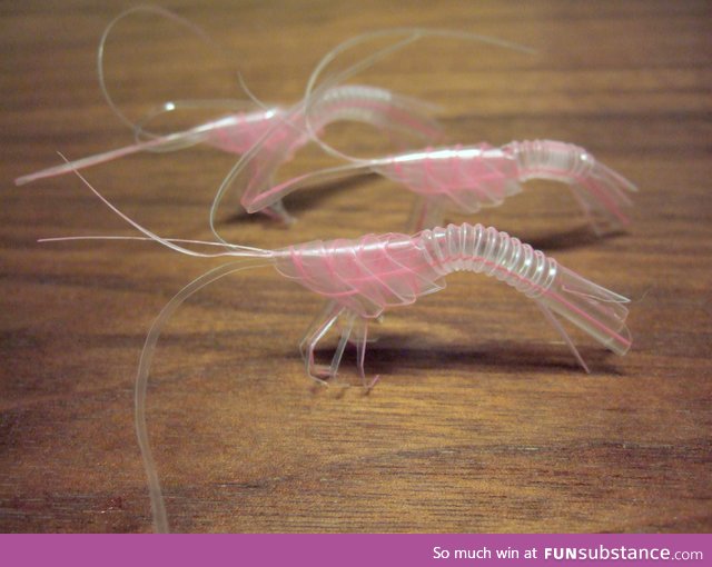 Shrimps made from straws, not by me of course