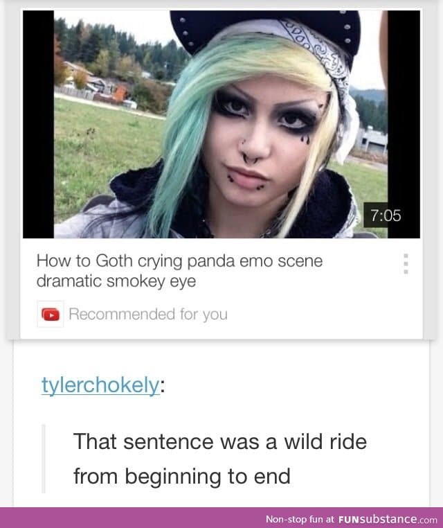 You lost me at goth crying panda