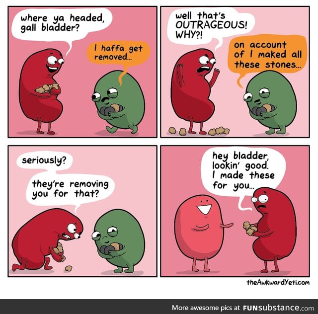 Poor gall bladder part 2