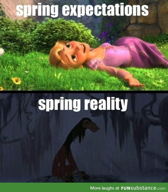Expectations about Spring