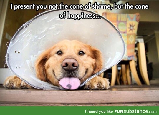 The cone of happiness