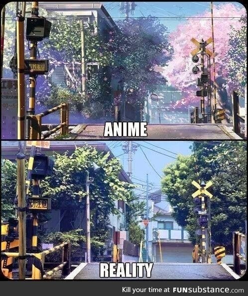 Anime vs reallity
