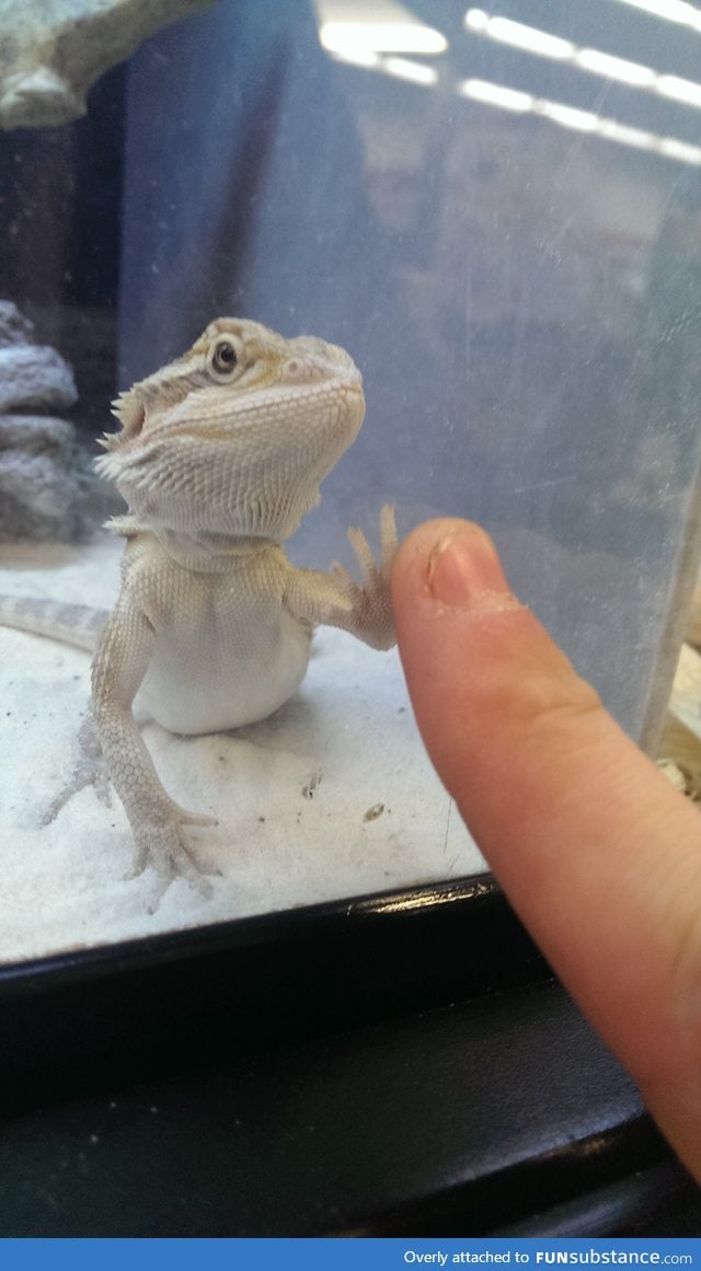 We shared a moment at the pet store