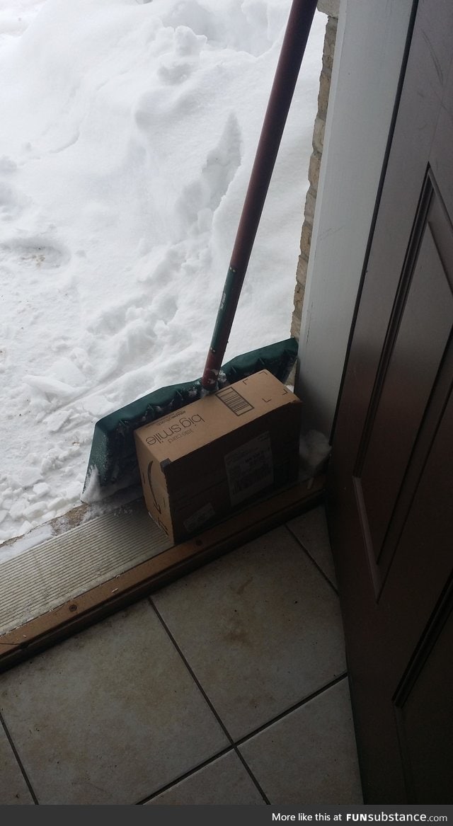 Good guy ups delivery man