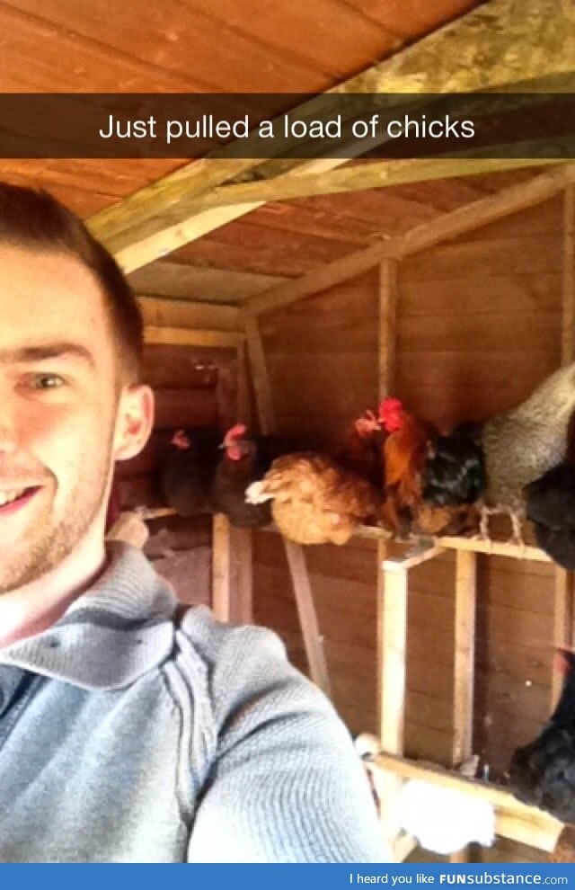 Chicken Selfie