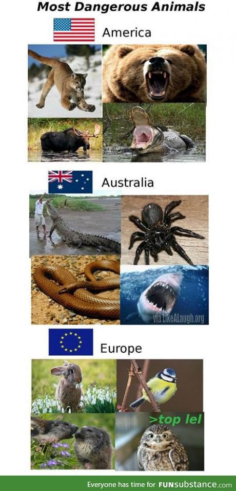 Most dangerous country animal