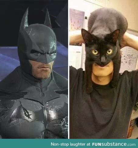 I am catman!