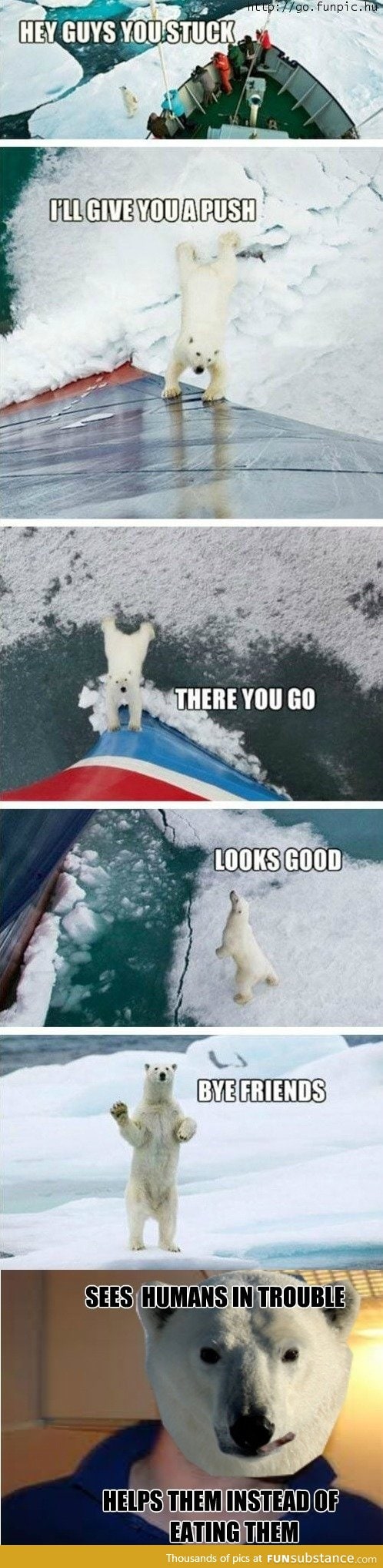 Good Guy Polar Bear