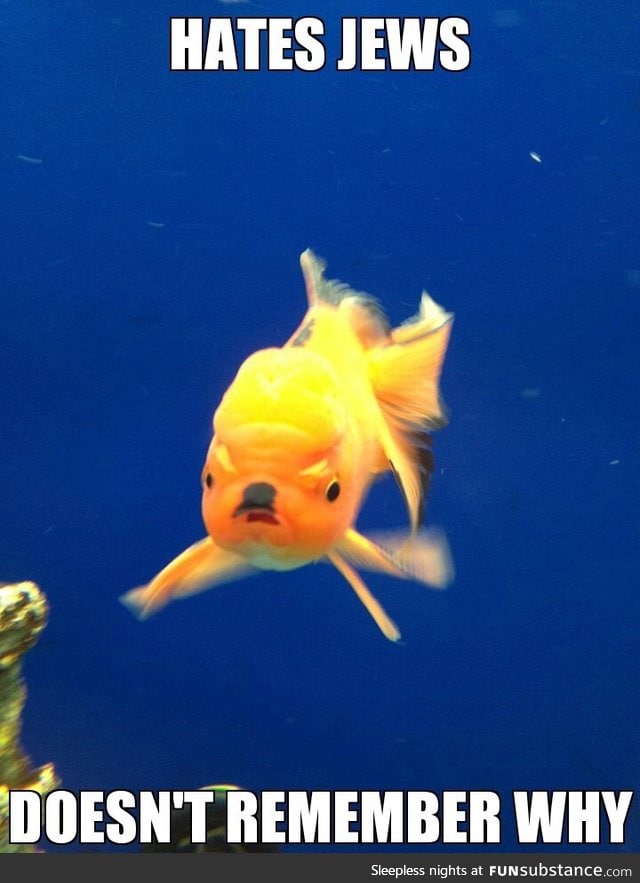 Führer Fish