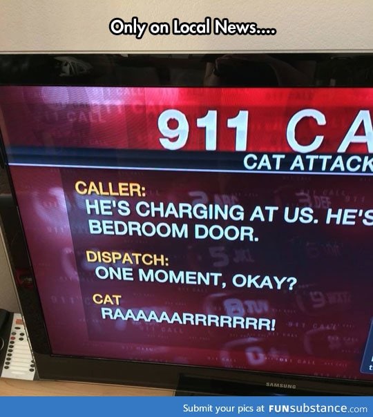 When cats attack