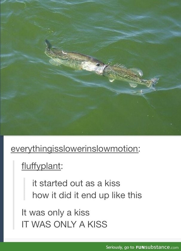 It was only a kiss