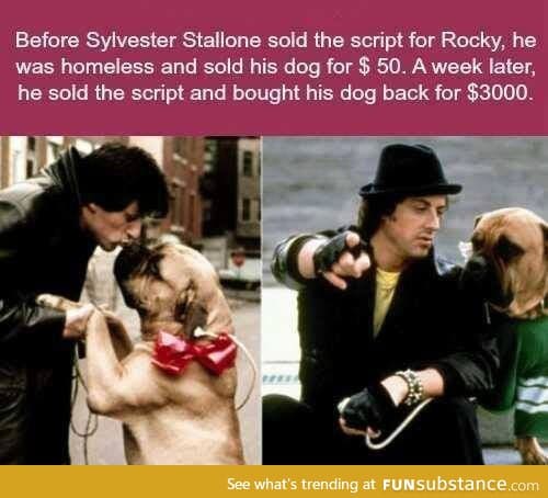 Sylvester Stallone is a great man
