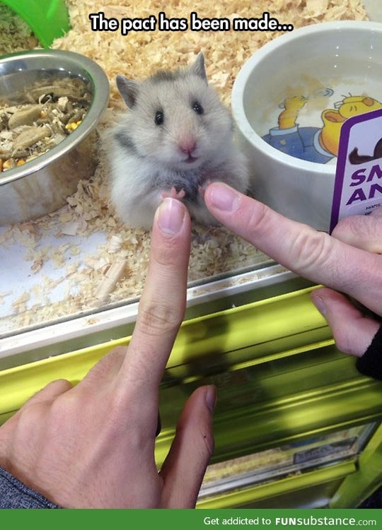 The pact is complete