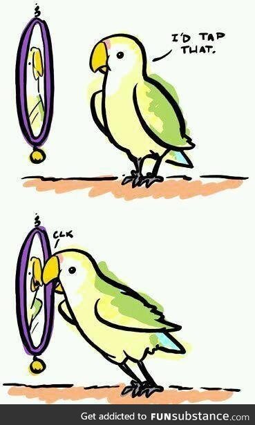 Self-loving parrot