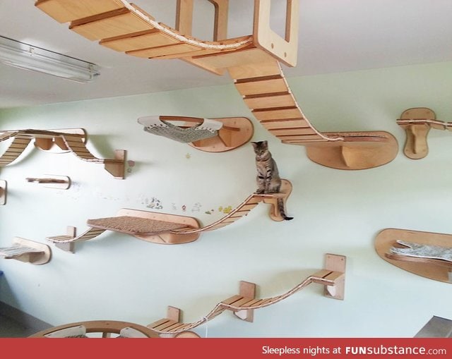 Giant suspended cat playground