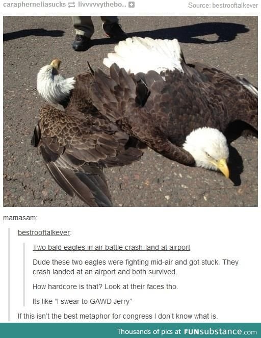 They were fighting for their freedoms